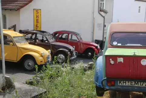 Ob als individuelle Vorgartendeko, als ehemaliges Postauto in gelb, in bordeaux- oder auch in knallrot, wie die Ente der Morgens