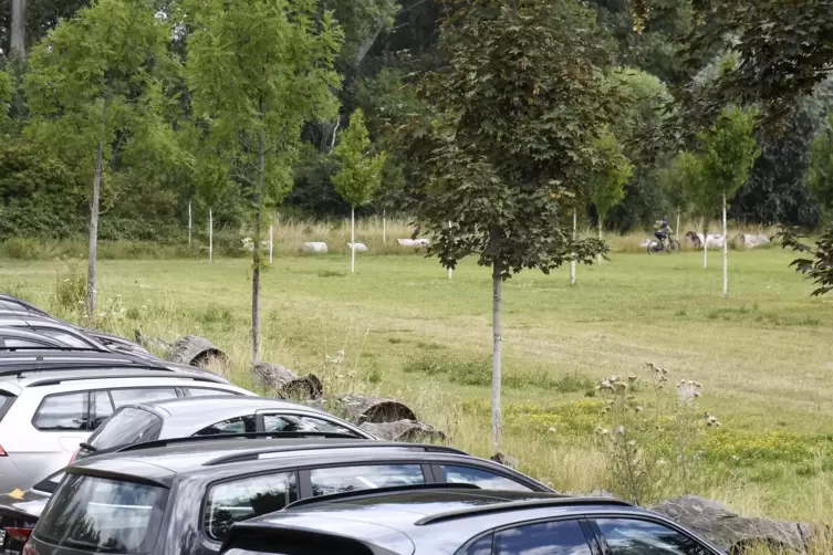 Auf dem Parkplatz am Silbersee sind am Samstagmittag noch viele Pl&auml;tze frei. 