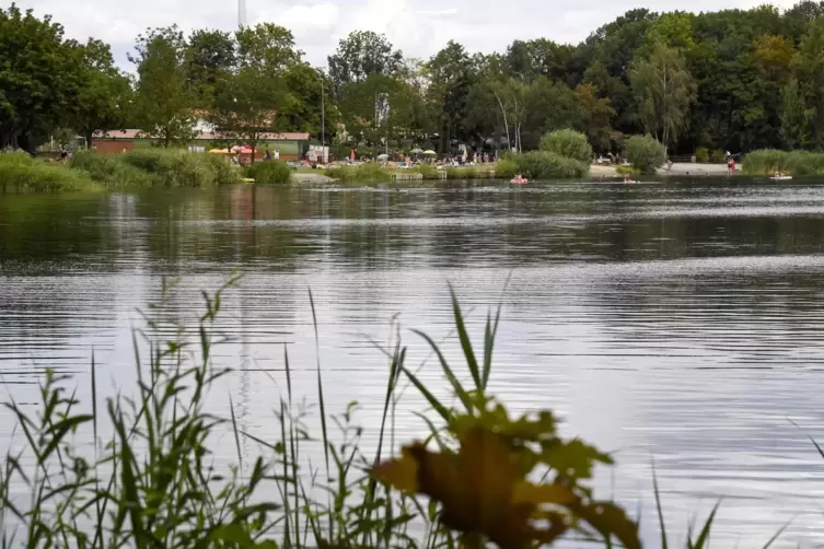 Blick vom S&uuml;dufer auf den Badestrand und die Beachbar am Lambsheimer Weiher. Auch dort war die Situation am Wochenende nicht ver
