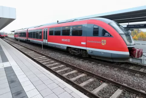 Zug am Hauptbahnhof in Landau. 
