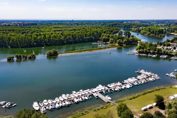 Beliebtes Ausflugsziel für Bootsbesitzer: das Reffenthal zwischen Speyer und Otterstadt. Unter der Woche ist dort weniger los al