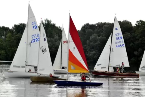Wie lange werden Regatten dieser Art noch auf dem Silbersee stattfinden können? Diese Frage treibt den WSV Roxheim seit Jahren u