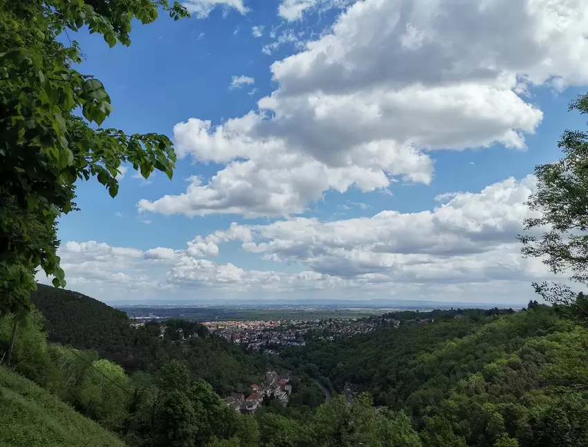 »Die Pfalz ist einfach wunderschön«, schreibt Christine Kirsch zu ihrem Foto, das von der Limburg aus bei einer Wanderung entsta