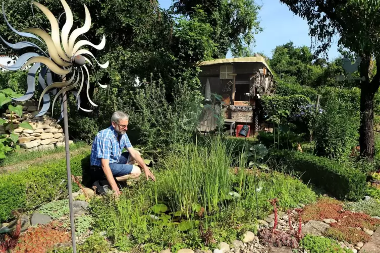 „Alles für die Wildbiene“ ist die Leitlinie von Klaus Müller und seiner Frau Hedwig für ihren Garten. 