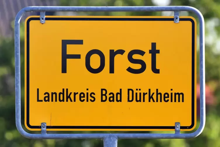 Am Basaltsee bei Forst ist Baden verboten. 
