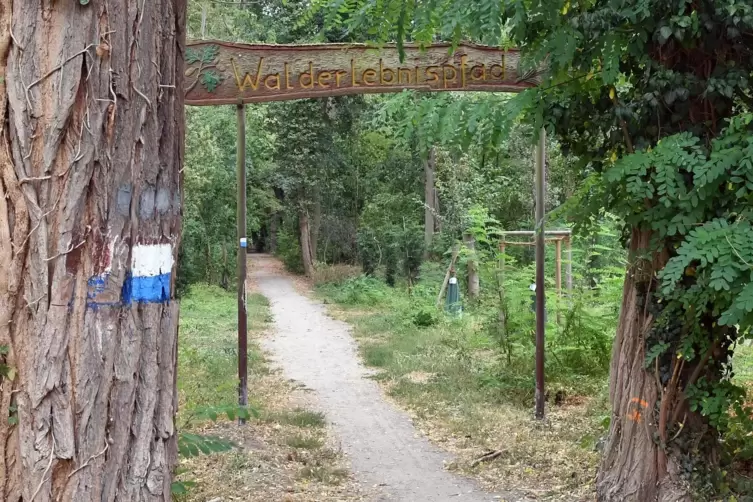 Walderlebnispfad: eine von vielen Freizeitmöglichkeiten im Haßlocher Wald. 