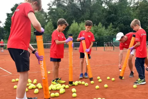 Nach dem Training sammeln Leopold König (von links), die Brüder Elias und Aaron Reinmuth mit Jonas Wenz die Bälle mit Ballsammel