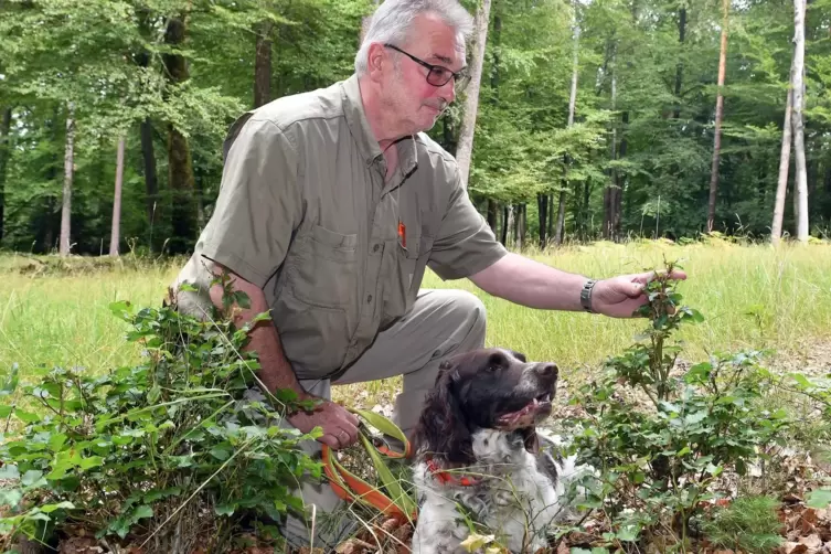 Äsungsflächen sind das „Esszimmer des Rotwilds“, sagt Reinhard Adam von der Rotwildhegegemeinschaft, hier mit Hund Quinn.