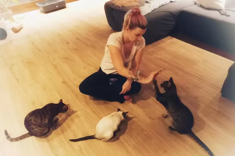 Katzenfreunde haben nur Vorteile im Leben: Katrin Brandau 