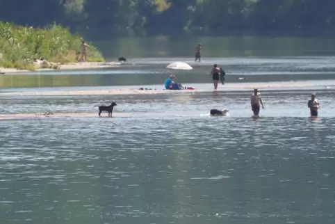 Dieses Bild stammt nicht aus Trier, sondern vom Mittelrhein bei Osterspai, wo Menschen in einer Bucht baden.