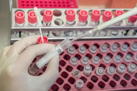 Saarländische Lehrkräfte können sich bis Jahresende zwei Mal kostenlos auf das Coronavirus testen lassen.