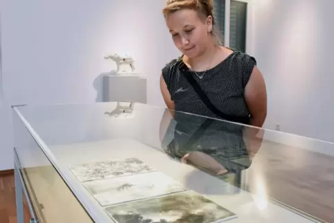 Catherine Sankes preiswürdiges Werk liegt aktuell im Kunsthaus. 
