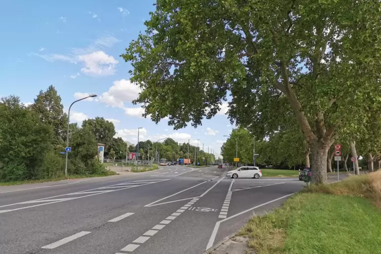 Ein neuer Radweg ist geplant.