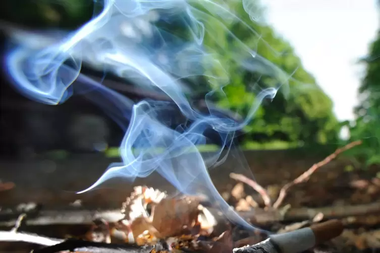 Eine weggeworfene Zigarette kann derzeit leicht einen Flächenbrand auslösen.