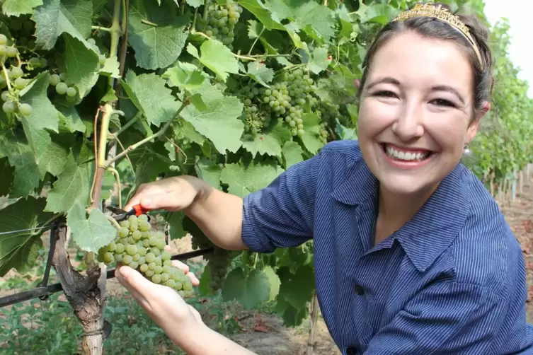 Endlich Weinlese: die Pfälzische Weinkönigin Anna-Maria Löffler freut sich, im Weinberg zu sein. 
