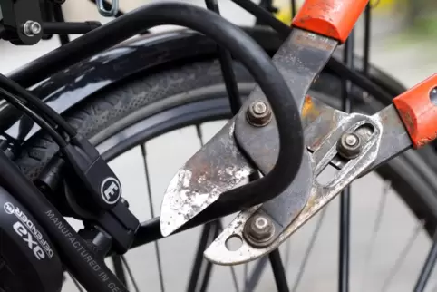 dpa_fahrrad