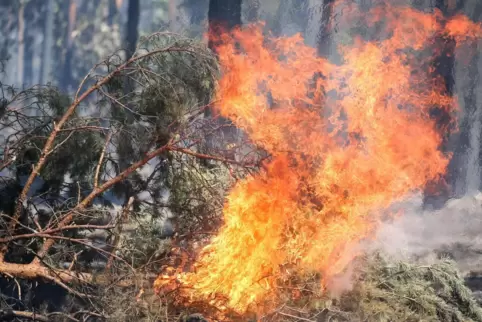 Am Donnerstag nimmt das Risiko von Waldbränden wieder ab.