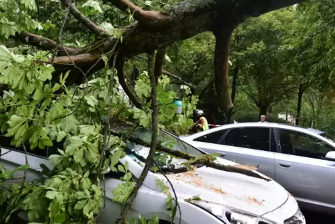 Im Saarbrücker Stadtteil St. Arnual werden Autos von Bäumen begraben. Ein Baum stürzt in ein Wohnhaus, vielfach werden Überflutu