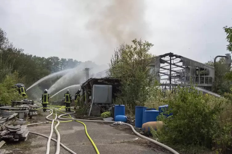 Sägewerk brennt: Mehrere Feuerwehren sind in Schaidt im Einsatz