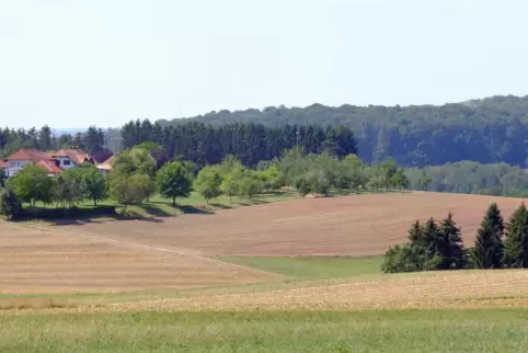 In der Bildmitte ist das Feld zu sehen, auf dem der Reifenberger Landwirt Martin Hüther am Montagabend den stinkenden Dünger aus