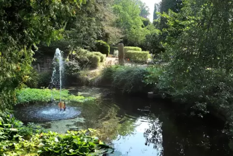 In dem Teich schwimmen Goldfische. 