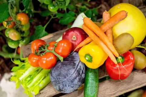 Ernährung ist laut Steinbach ein buntes Potpourri und für jede Sportart individuell zu beurteilen.