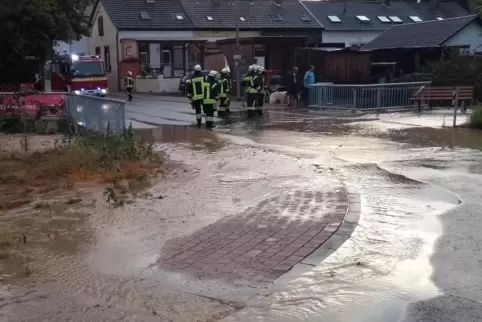 Der Leiselsbach lief in Albisheim über die Straße. 