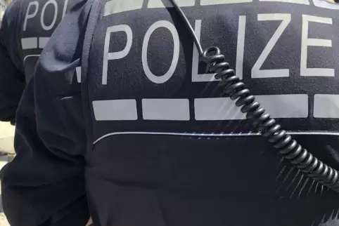 Einsatz wegen Ruhestörung. 