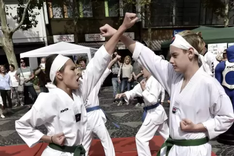 Vor zwei Jahren auf dem Rathausplatz: Kampfsportler des 1. Taekwondo- und Kickboxing-Clubs bei einer Vorführung.