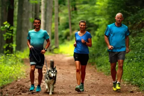 Mark Weidler (links) und Lorena Meyer mit Husky-Hündin Nanouk beim Joggen im Clauser Tal, begleitet von RHEINPFALZ-Mitarbeiter M