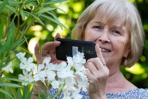 In ihrem Garten entdeckt Gerlinde Schmitt immer wieder neue Motive. Mit ihrem Smartphone setzt sie dort Pflanzen und Tiere in Sz