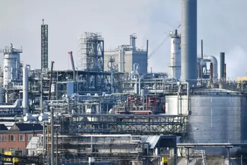 Den Großteil der Fördermittel erhält der BASF-Standort Schwarzheide , ein kleinerer Teil geht nach Ludwigshafen (Bild). 