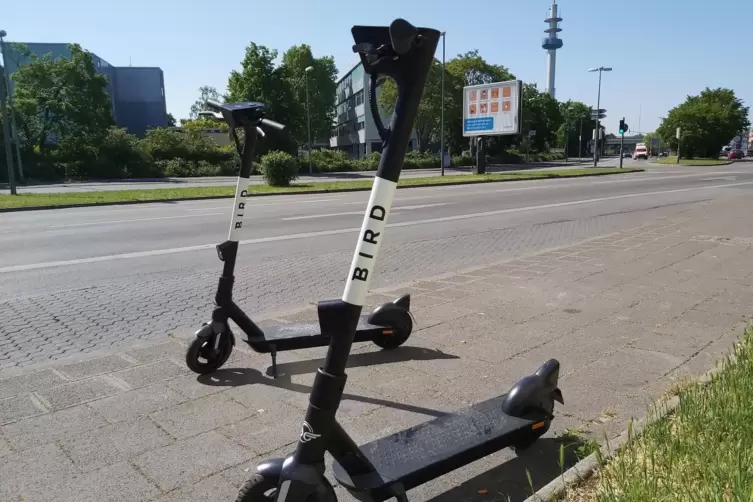 Als Zweiter in Ludwigshafen: Bird aus Kalifornien.