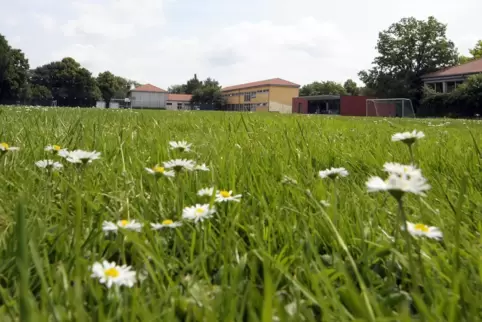 Die Kurpfalzschule wird von verschiedenen Einrichtungen genutzt.