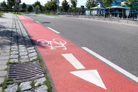 In Speyer werden mehr Radwege als früher auf die Straße geleitet: Hier ein Beispiel aus der Else-Krieg-/Paul-Egell-Straße. In Speyer werden mehr Radwege als früher auf die Straße geleitet: Hier ein Beispiel aus der Else-Krieg-/Paul-Egell-Straße.