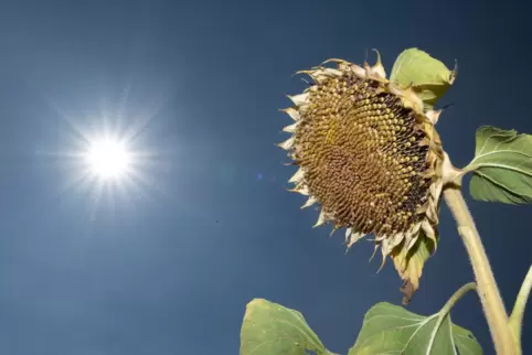 Zum Wochenstart soll es noch einmal sonnig werden.