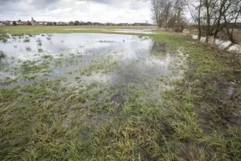  Hochwasser 2017 am Schwarzbach bei Hütschenhausen: Nach Starkregen sind Überschwemmungen kein Einzelfall.