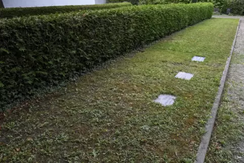 Auch mit Folgen der langen Trockenheit erklärt die Verwaltung den Zustand dieser Rasenfläche.