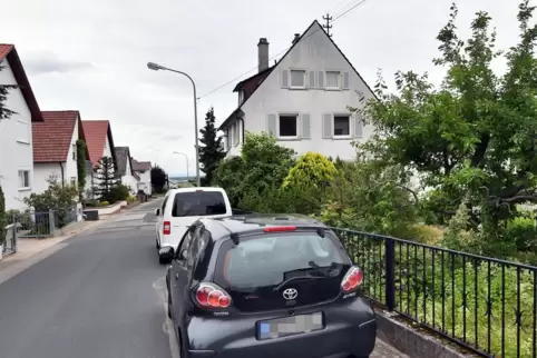 DIe Winzerstraße 16, das rechte freie Grundstück, soll bebaut werden. Wie, daran scheiden sich die Geister. 