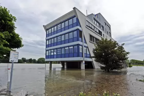 Dicht am Rhein gebaut: Auch für das Ostasieninstitut in Ludwigshafen sind präzise Hochwasservorhersagen von Nutzen. Im Juni 2013