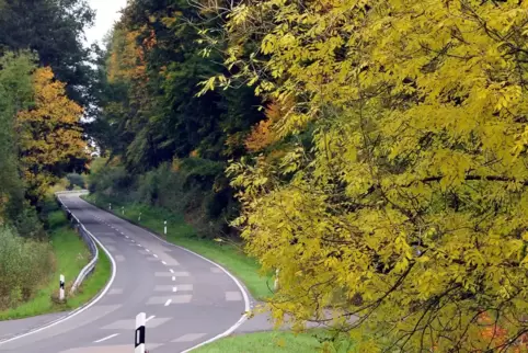 Die Straße durchs Reifenberger Tal wird über Herbst ebenfalls erneuert. Wer nach Zweibrücken möchte, muss dann über Schmitshause