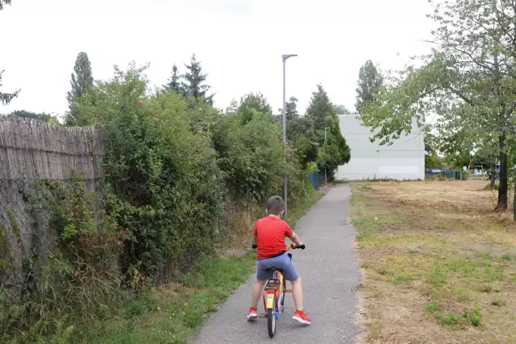 Hinter den G&auml;rten verl&auml;uft ein Fu&szlig;weg, daneben liegt die Wiese, die zum Teil auch mit verplant ist. 