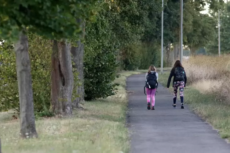 Auf dem Fu&szlig;weg von Minderslachen nach Kandel ist es morgens je nach Jahreszeit noch dunkel, nur Stra&szlig;enlampen leuchten.