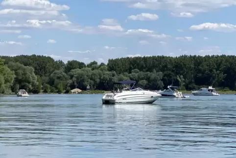An Sommerwochenenden herrscht viel Betrieb im Wörther Hafen. 
