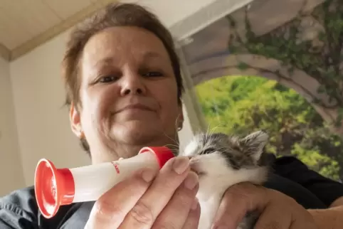 Christine Fauß zieht derzeit selbst ein Katzenbaby groß.
