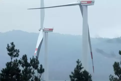 Bedenken gegen weitere Windräder gab es im Gemeinderat in Winnweiler .