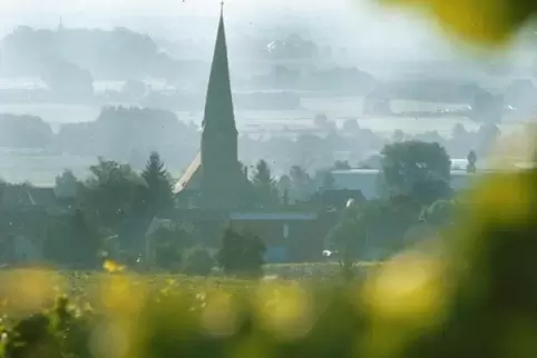 Blick auf Rhodt – durch die Reben. 