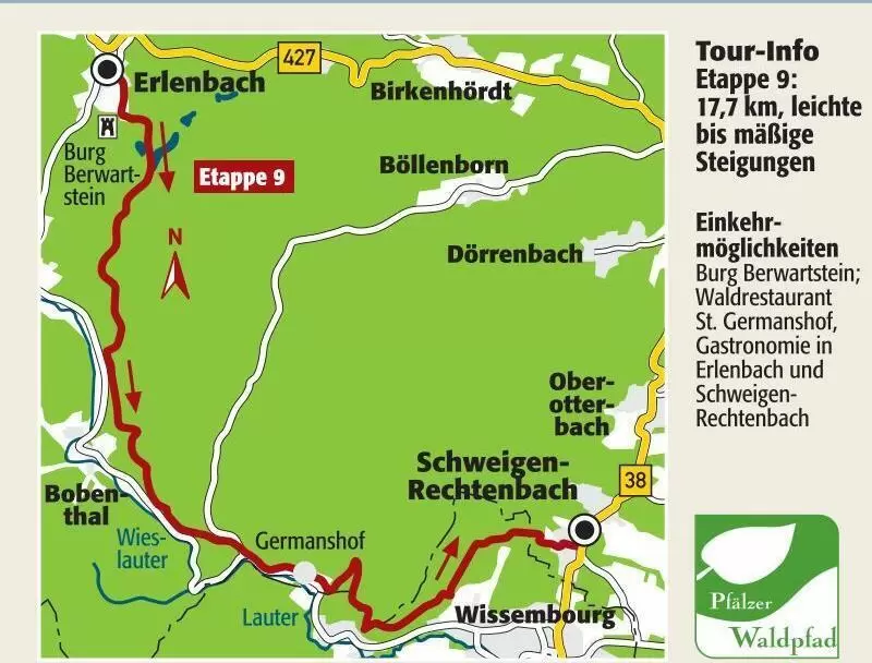 leo_wandertipp_waldpfad_9_ngen