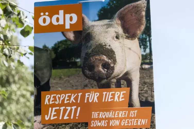 Ein ÖDP-Plakat von der Bundestagswahl 2017.