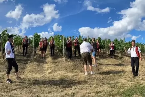Idealer Ort, um Clips für eine Weinprobe zu drehen: In einem Wingert oberhalb von Obermoschel hat die Gesangvereinskapelle die S Idealer Ort, um Clips für eine Weinprobe zu drehen: In einem Wingert oberhalb von Obermoschel hat die Gesangvereinskapelle die S